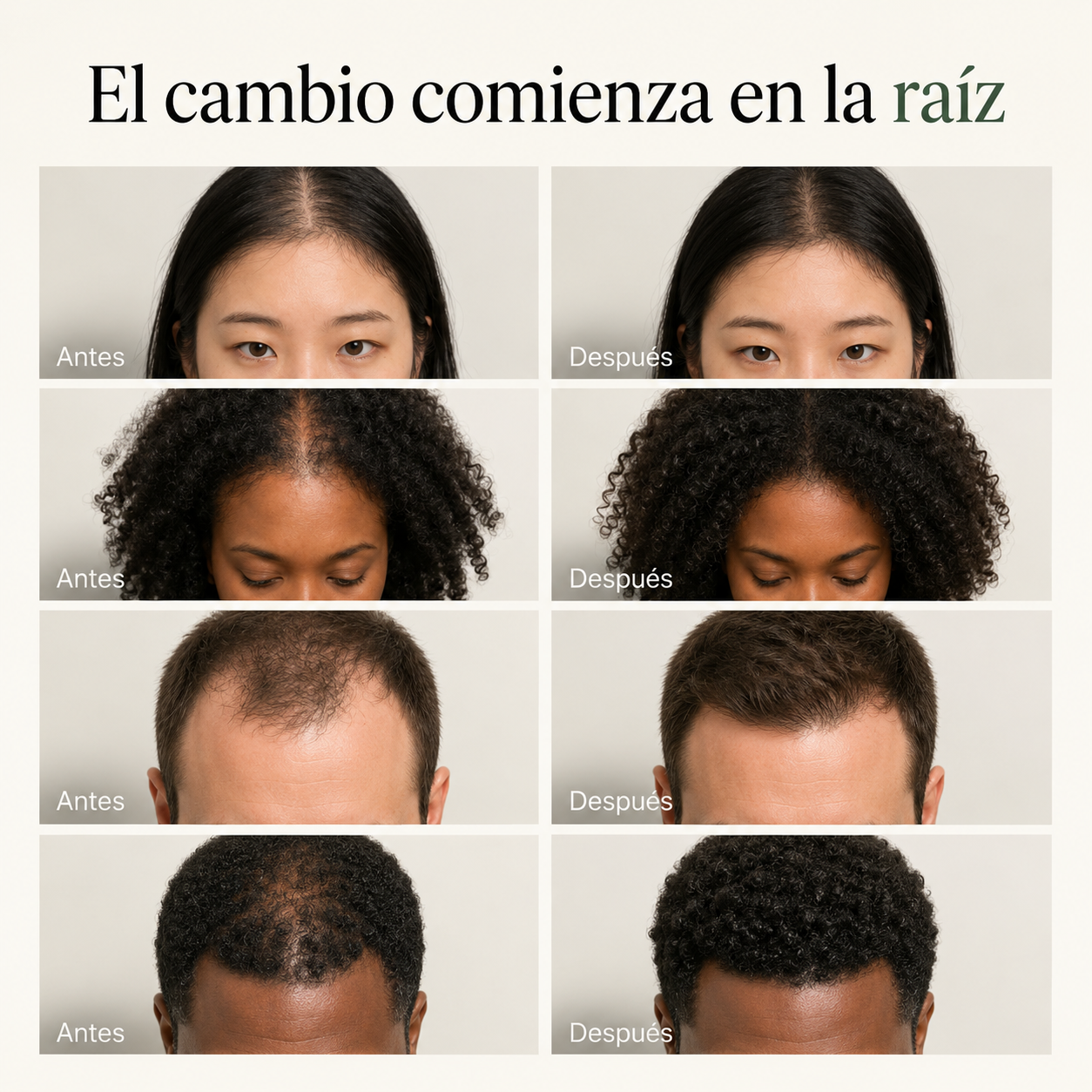 Shampoo Revitalizante